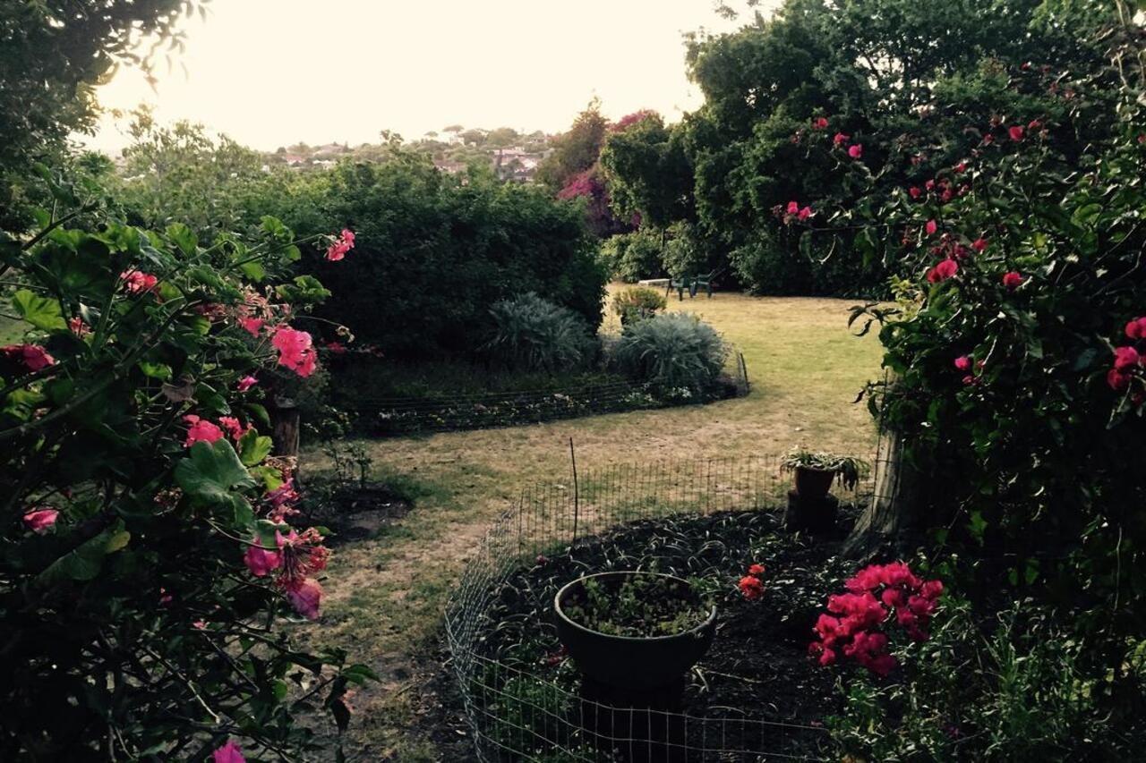 Helderbos Country House غرب سومرست المظهر الخارجي الصورة