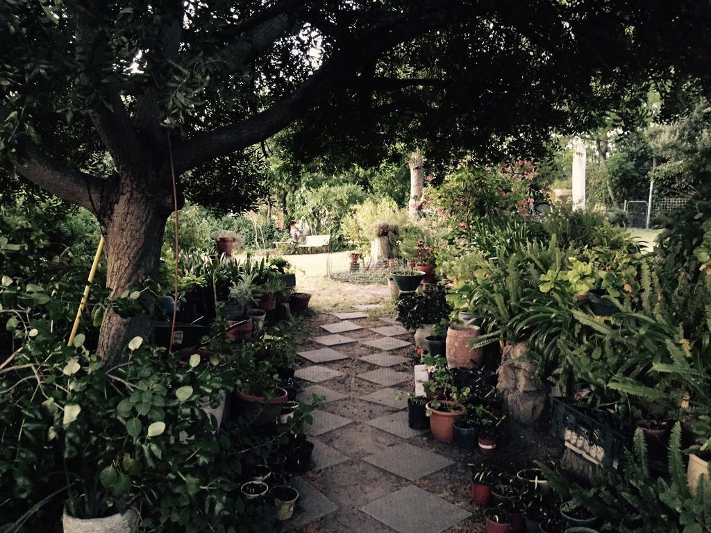 Helderbos Country House غرب سومرست المظهر الخارجي الصورة