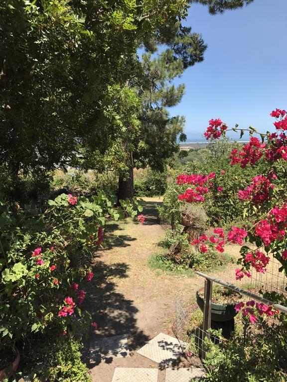 Helderbos Country House غرب سومرست المظهر الخارجي الصورة