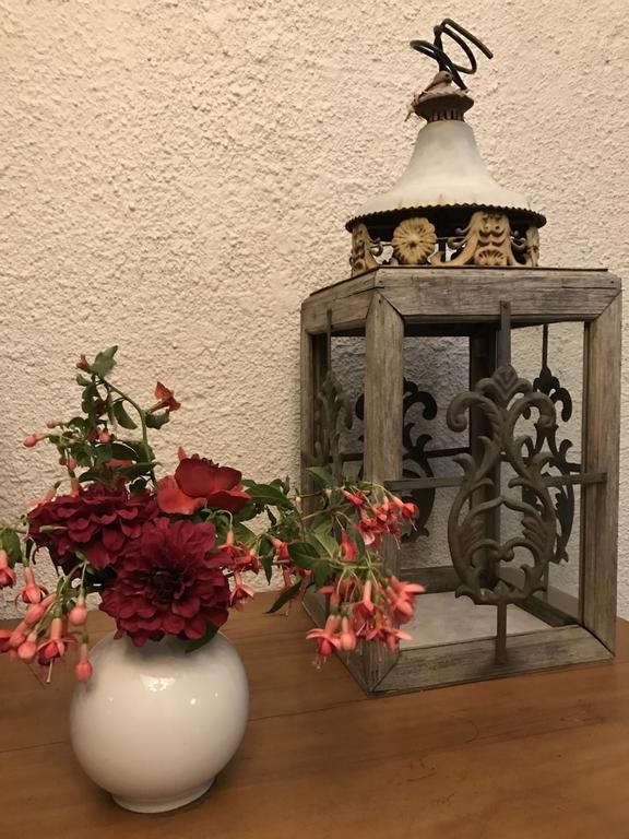 Helderbos Country House غرب سومرست المظهر الخارجي الصورة