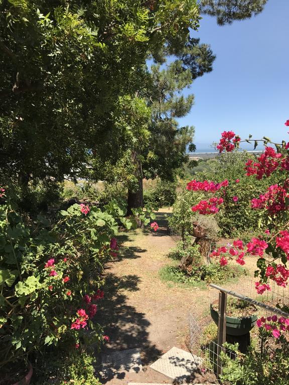 Helderbos Country House غرب سومرست المظهر الخارجي الصورة